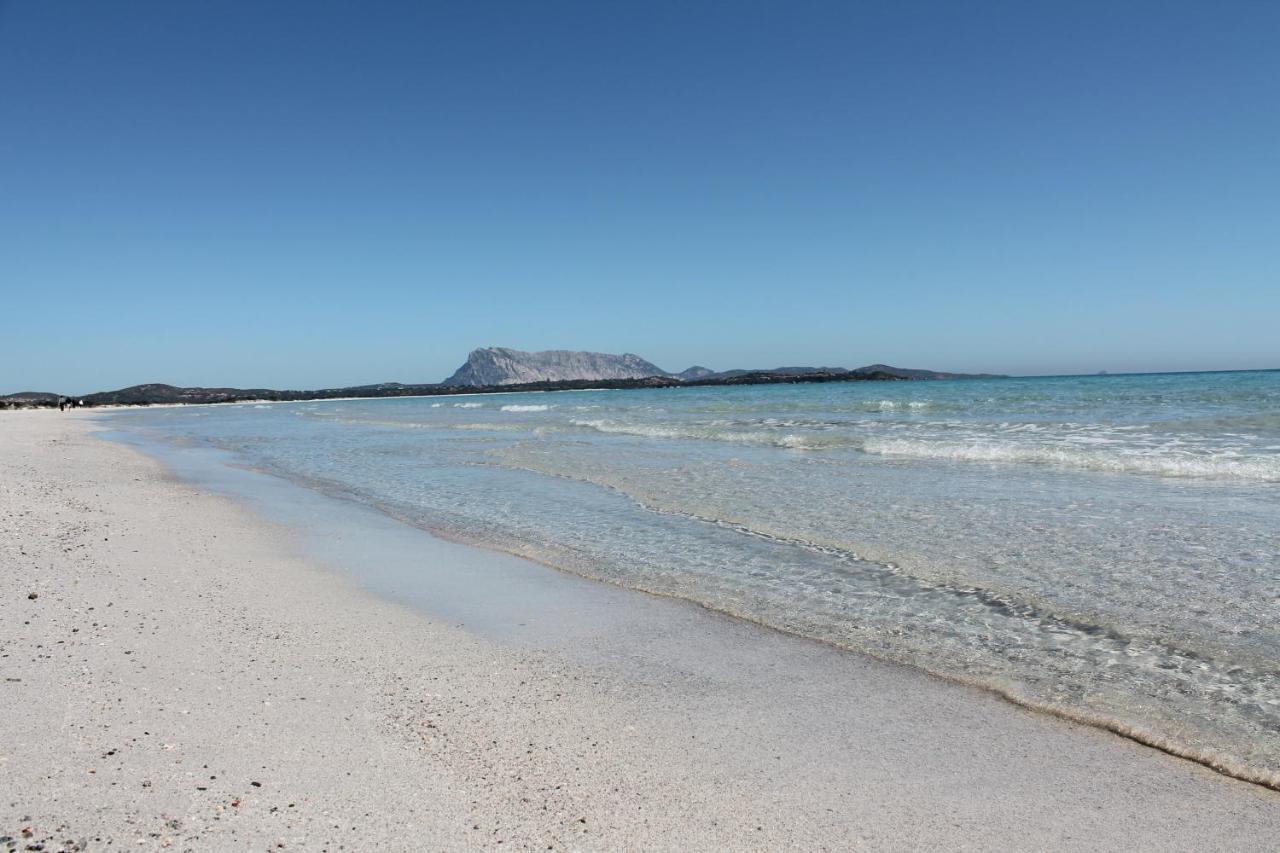 Vista Sul Mare E Tavolara Budoniaffitti Porto San Paolo  Kültér fotó