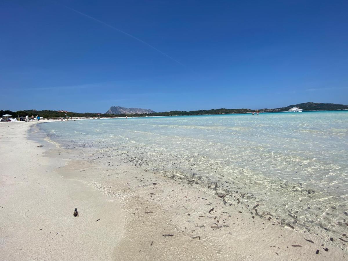 Vista Sul Mare E Tavolara Budoniaffitti Porto San Paolo  Kültér fotó